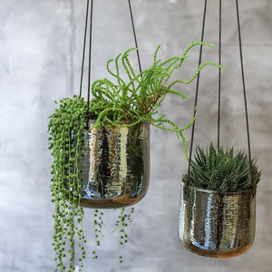 VIRI HANGING VASE/PLANTER - EMERALD