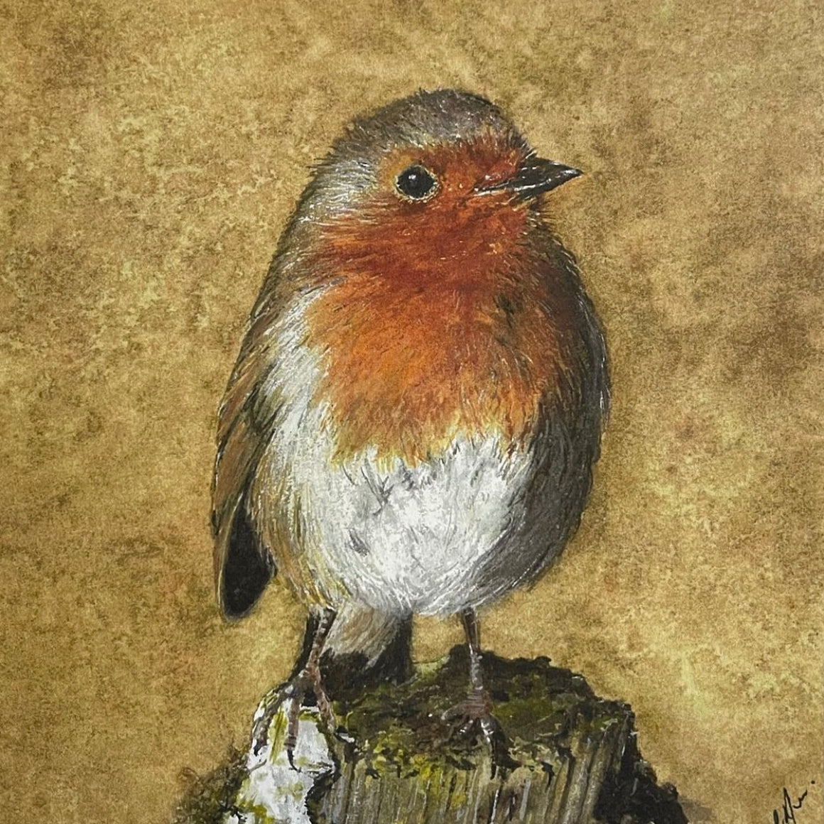 ROBIN ON A PERCH PICTURE - FRAMED - Feather & Twigs