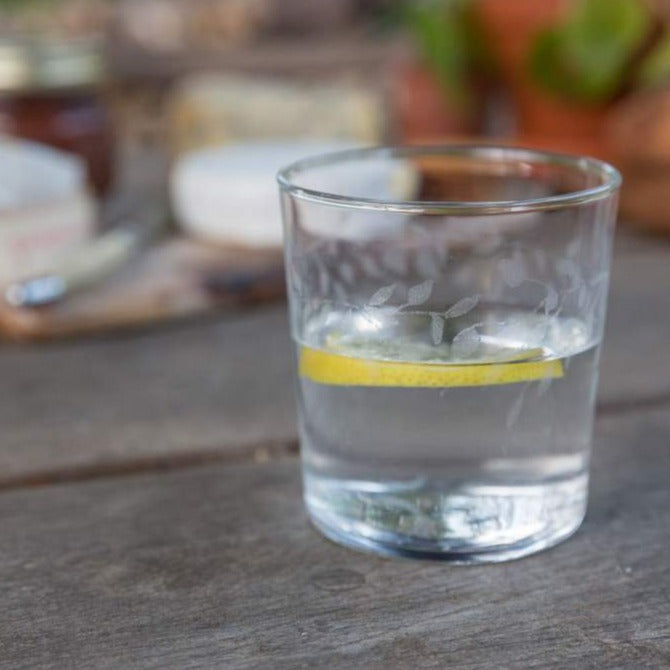 SILVER BIRCH TUMBLERS - SOLD AS SINGLES - Feather & Twigs