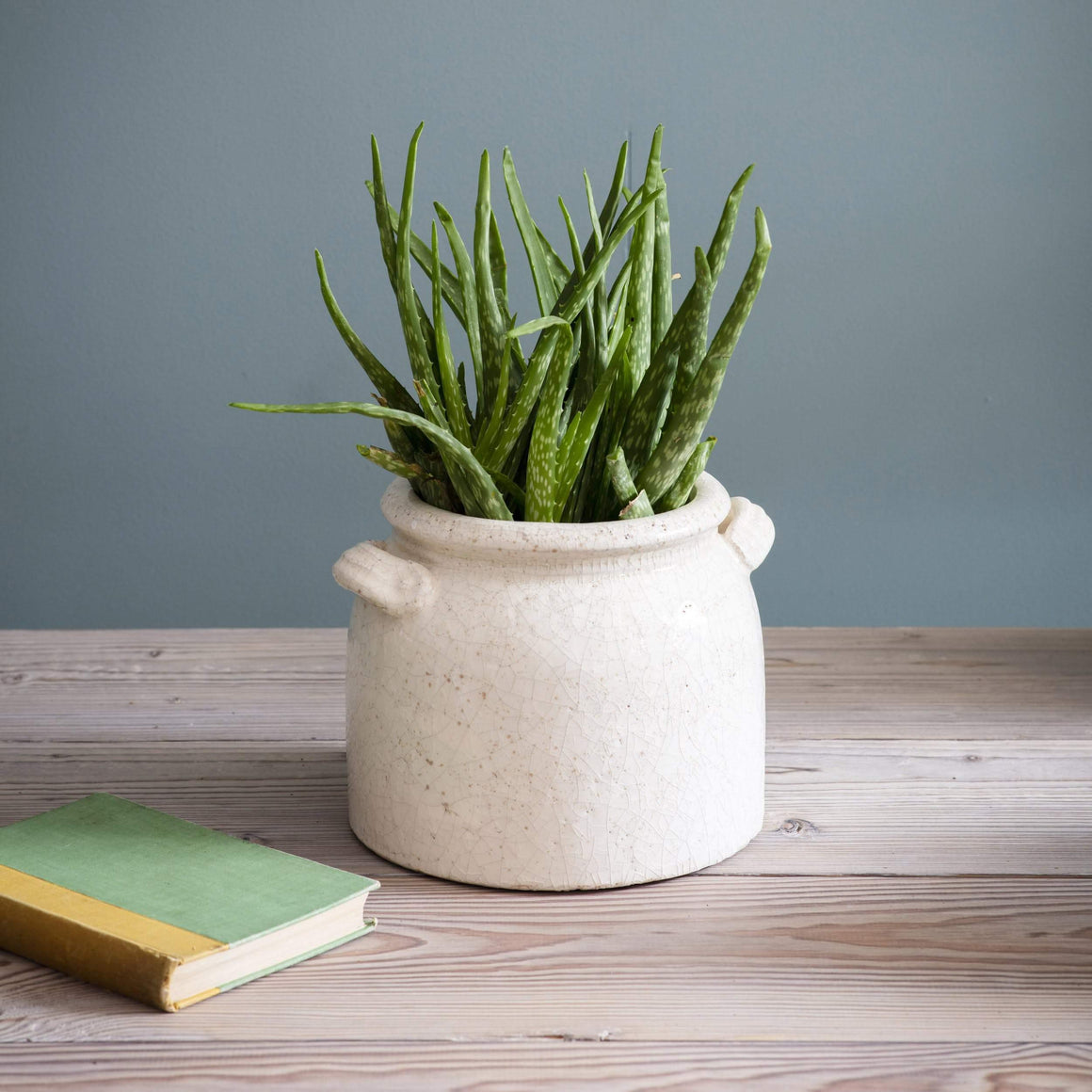 RAVELLO POT WITH HANDLES - Feather & Twigs