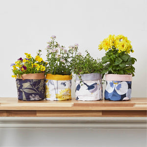 PANSY PLANT POT