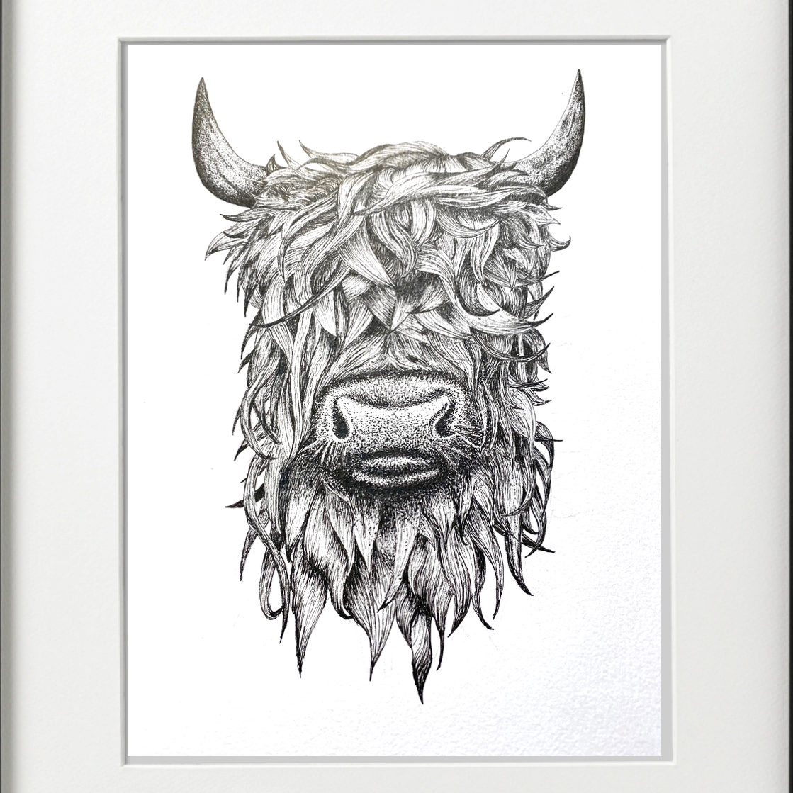 HIGHLAND COW -  PEN & INK - PRINT - Feather & Twigs
