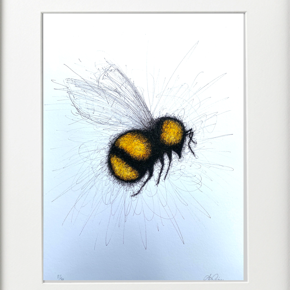 BEE -  PEN & INK - FRAMED/UNFRAMED BY IAN GRIME - Feather & Twigs
