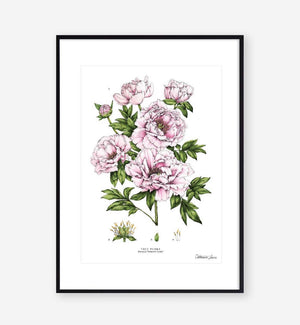 BOTANICAL PRINT