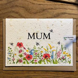 MOTHERS DAY CARDS - PLANTABLE