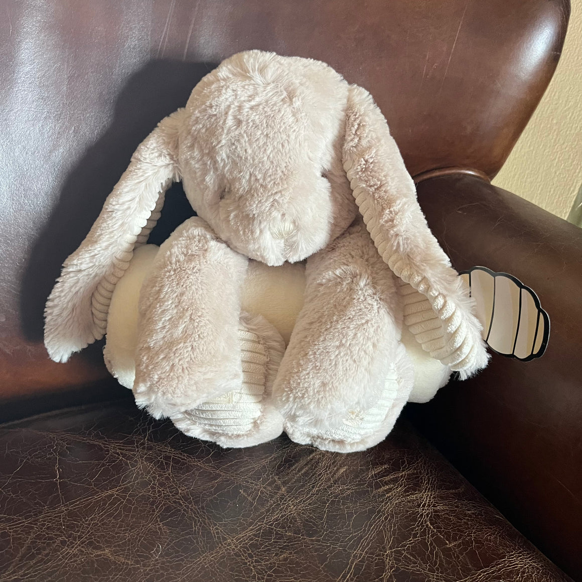 BUNNY WITH BLANKET