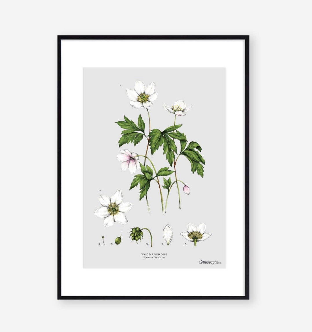 BOTANICAL PRINT