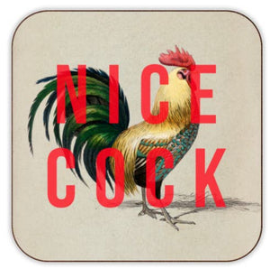 NAUGHTY AND FUN COASTERS - VARIOUS