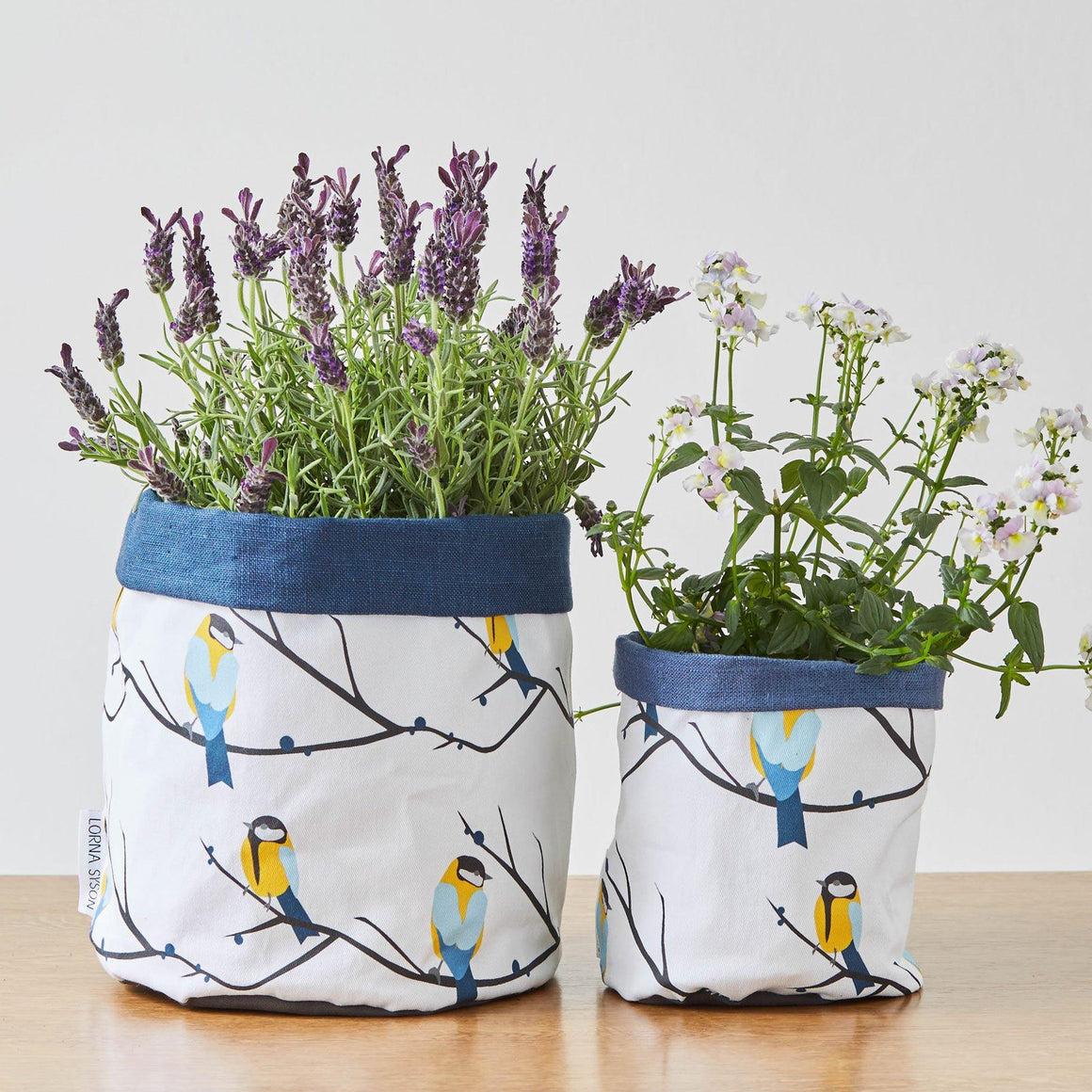JUNEBERRY BIRD PLANT POT - BLUE TRIM