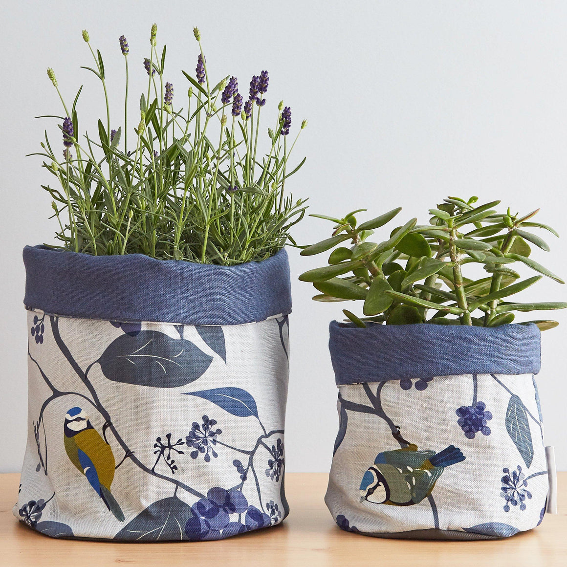 SPRING IVY BLUE PLANT POT